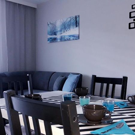 Apartament Wiktoria Ustrzyki Dolne Exterior foto