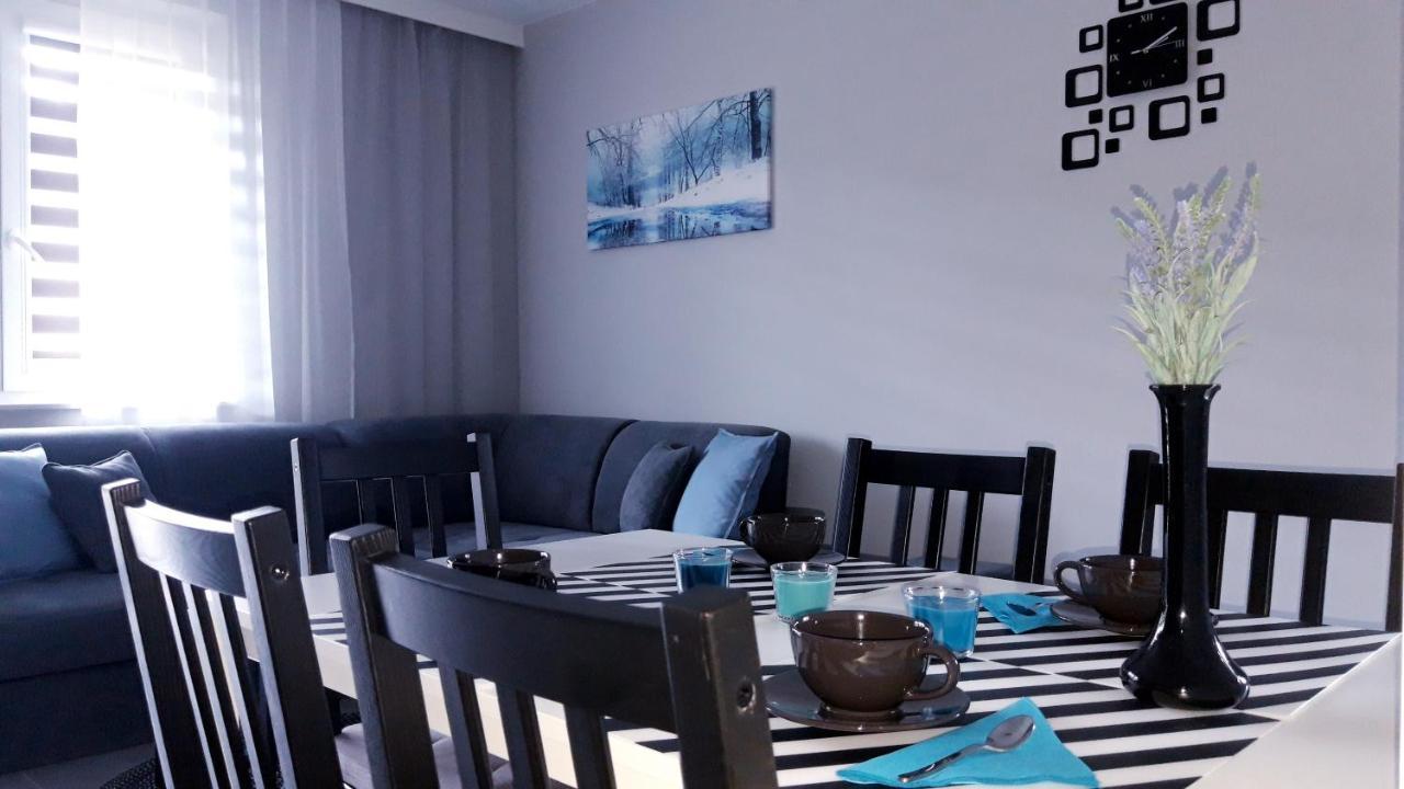 Apartament Wiktoria Ustrzyki Dolne Exterior foto
